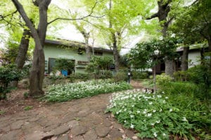 東京都練馬区大泉学園町の青樹舎硝子工房外観写真春